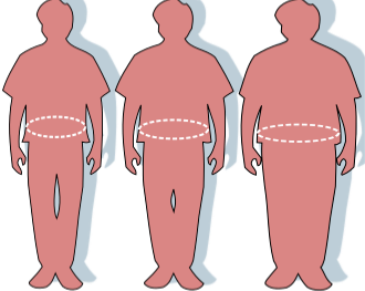 Obesitas in de eerste lijn