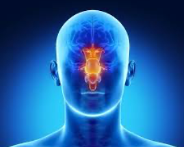 Online Rhinitis lunch bijeenkomst