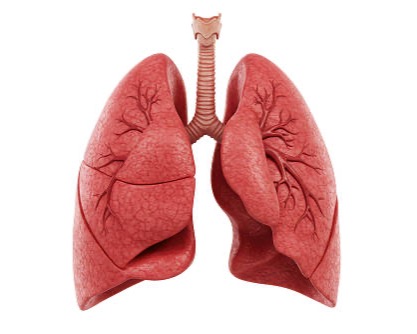 COPD Carrousel 2026